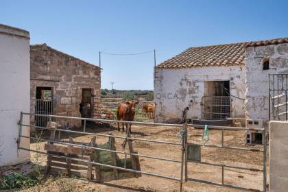 Two country houses, one with a tourist licence, on the south coast of Ciutadella