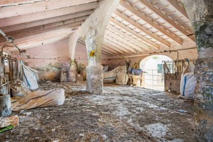 Dos casas de campo, una con licencia turística, en la costa sur de Ciutadella.