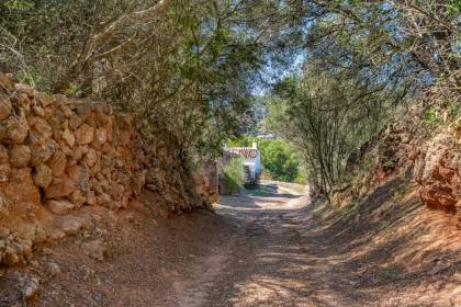 Magnifica finca situada en un entorno privilegiado y con mucha privacidad