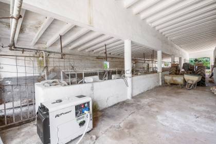 Magnifica finca situada en un entorno privilegiado y con mucha privacidad