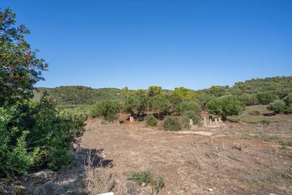 Magnifica finca situada en un entorno privilegiado y con mucha privacidad