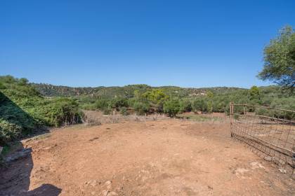 Magnifica finca situada en un entorno privilegiado y con mucha privacidad