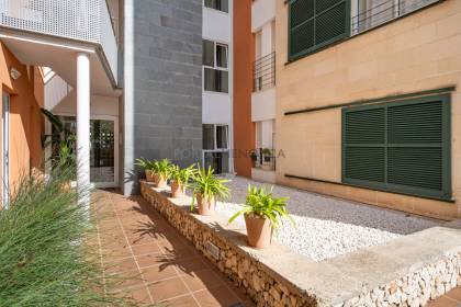 Duplex penthouse avec vue mer situé dans la zone du Paseo Marítimo.