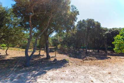 Estupenda casa de campo con terreno en Es Mercadal