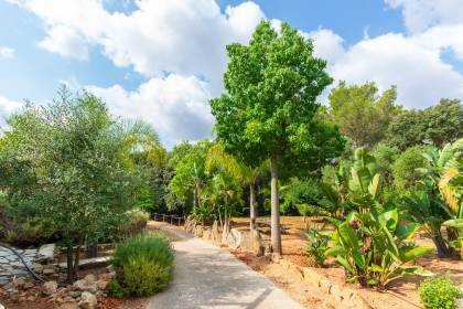 Estupenda casa de campo con terreno en Es Mercadal