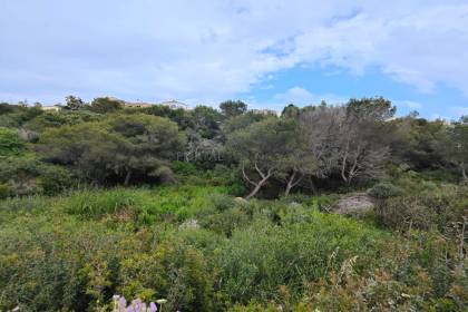 Plot for sale with plans and licence in Cala Llonga