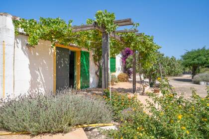 Espectacular finca rústica en Alaior con gran extensión de terreno