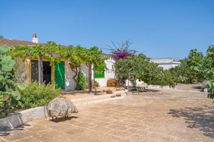 Espectacular finca rústica en Alaior con gran extensión de terreno