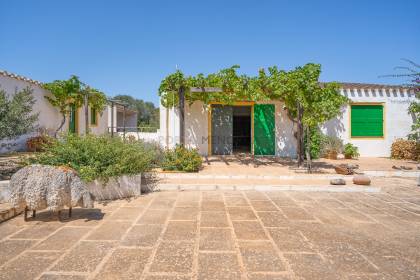 Spectacular country finca with land in Alaior