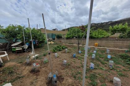 Terrain avec verger et cabane à outils à Es Mercadal