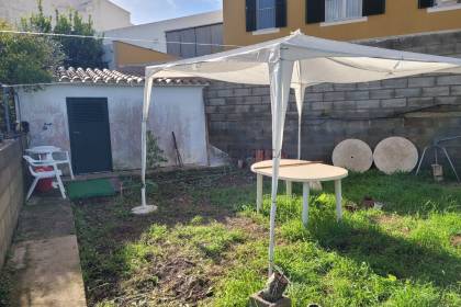 Allotment with fruit trees and shed in Es Mercadal