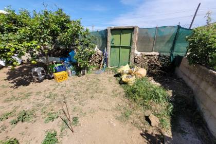 Allotment with fruit trees and shed in Es Mercadal