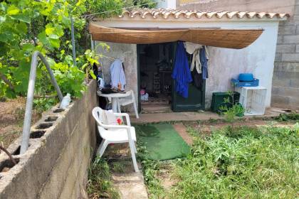 Allotment with fruit trees and shed in Es Mercadal