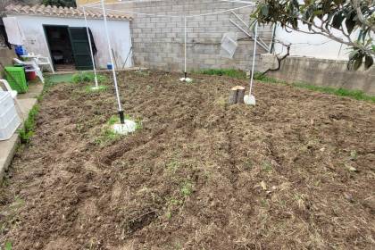 Allotment with fruit trees and shed in Es Mercadal