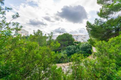 Apartment with communal pool and Tourist License in Arenal d'en Castell