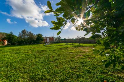 Country house for sale just a few minutes from the town of Sant lluis