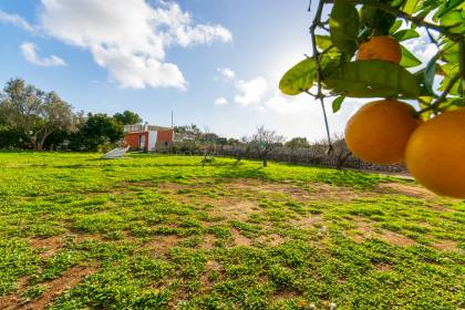 Casa de campo en venta a pocos minutos del pueblo de Sant lluis