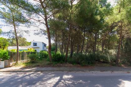 Building plot with plans for sale in Son Parc