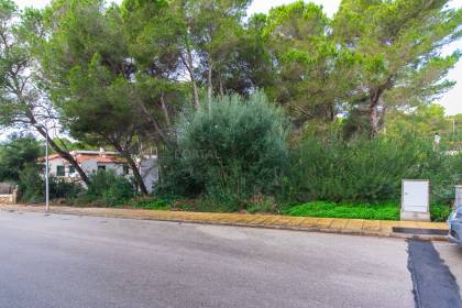 Building plot in a quiet cul-de-sac in Son Parc