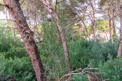 Building plot in a quiet cul-de-sac in Son Parc