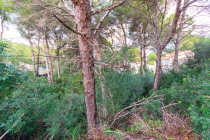 Building plot in a quiet cul-de-sac in Son Parc