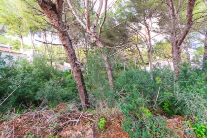 Building plot in a quiet cul-de-sac in Son Parc