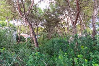 Building plot in a quiet cul-de-sac in Son Parc