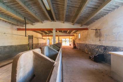 Auténtica casa de campo menorquina con piscina y mucho encanto en Ferreries
