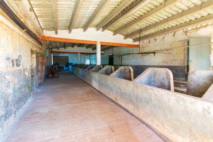 Auténtica casa de campo menorquina con piscina y mucho encanto en Ferreries