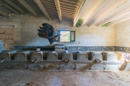 Auténtica casa de campo menorquina con piscina y mucho encanto en Ferreries