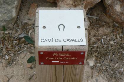 Cami de Cavalls de Minorque