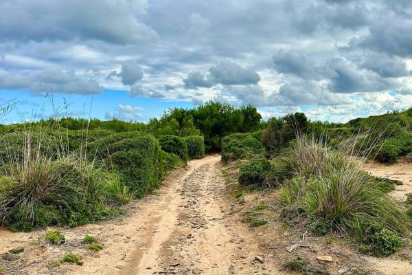 Qué hacer en Menorca III - Menorca en invierno